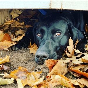 Meet your Posher, Jacqueline